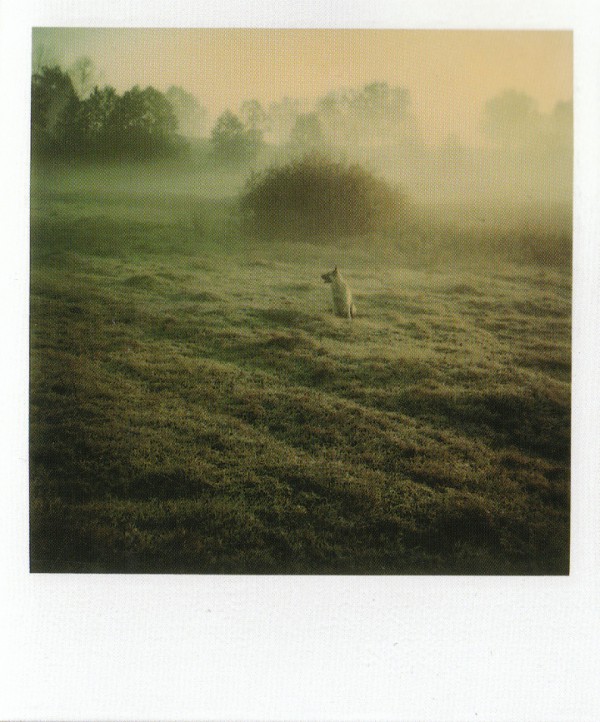 Andrei Tarkovsky